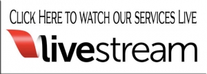 live_stream_logo